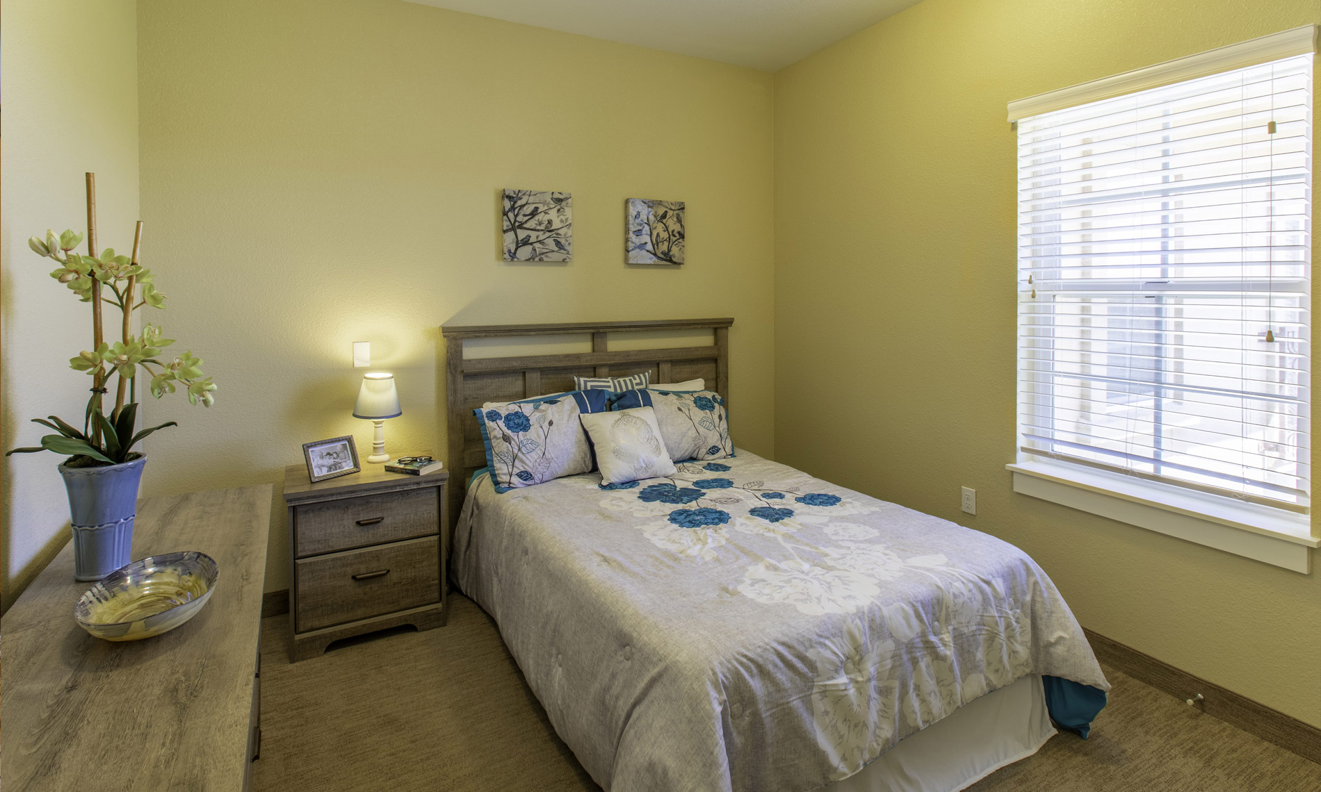 Shortstay Image