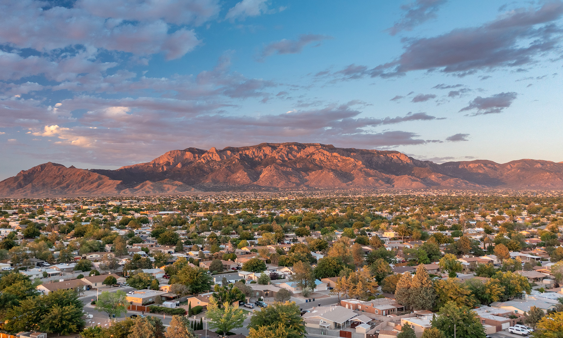 new mexico albuquerque