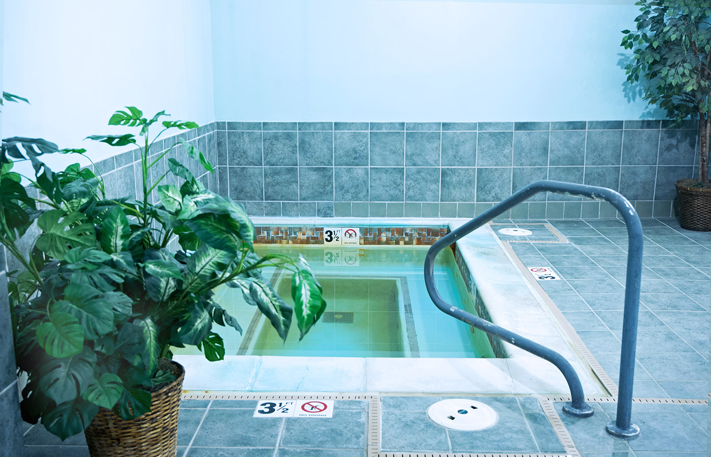 The Sauna Area in the pool room 