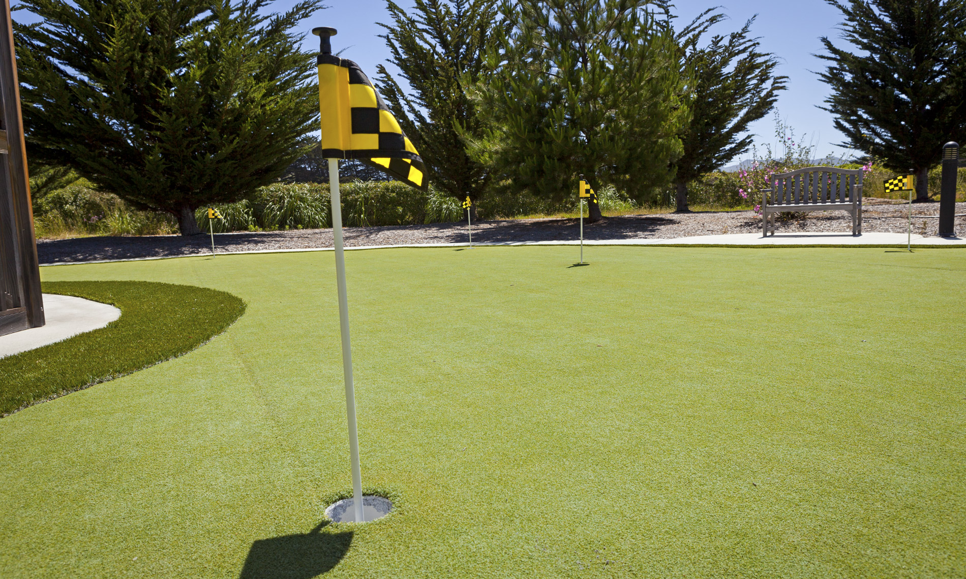 A shot of the putting court 