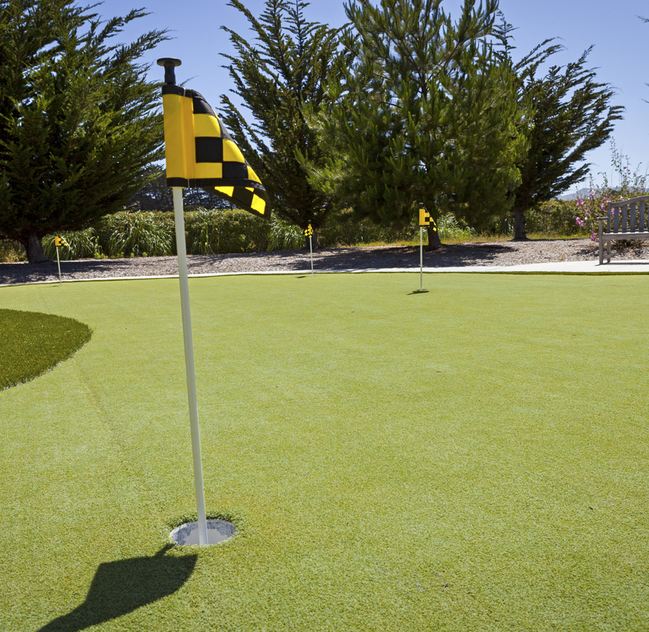 A shot of the putting court 