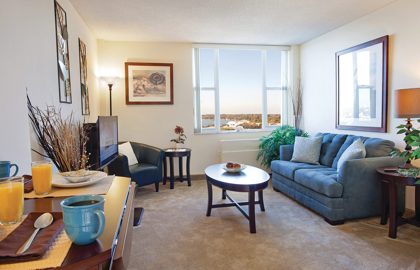 View of the living room facing the couch and window
