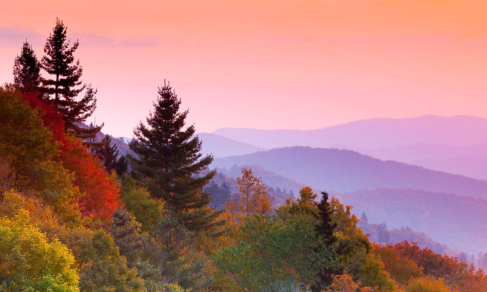 An autumn sunrise with a variety of trees in the foreground and misty mountains in the background