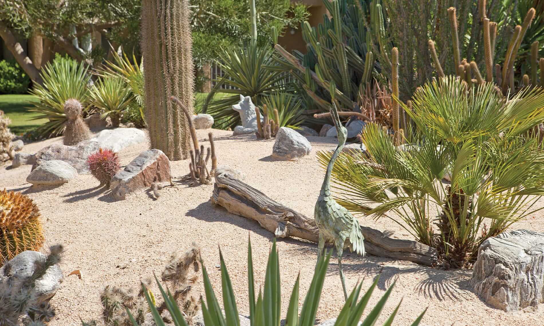 A close up of a garden featuring vegetation native to the desert like climate of California in the courtyard at the Fountains at the Carlotta, Emeryville CA