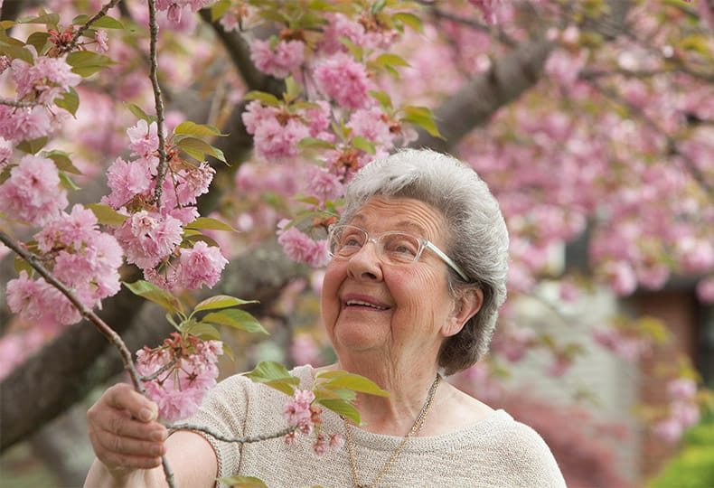 A woman stops to smells some vibrant flowers on a tree while walking past