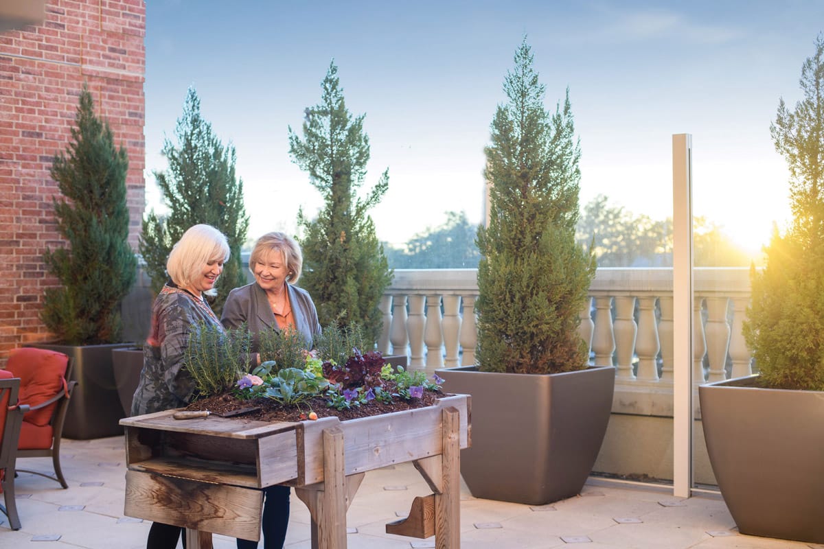 The Preston of the Park Cities Wellness