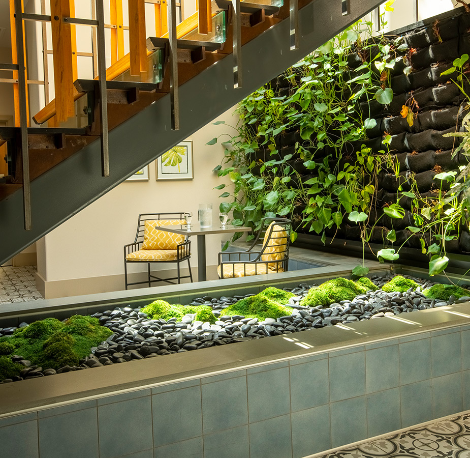 Wellness Upstairs Image