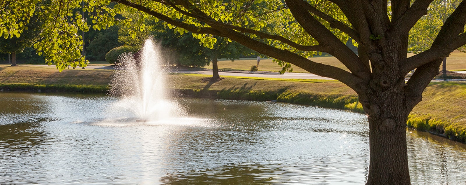 The Fountain in Park