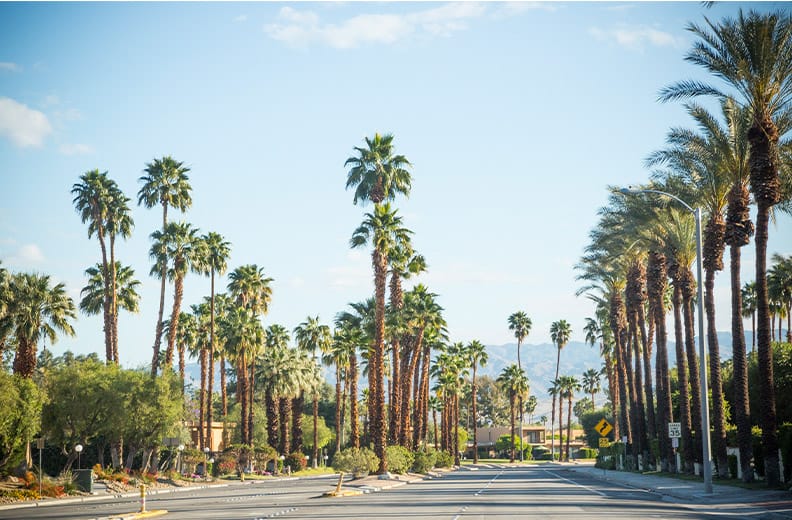 /getmedia/5786554f-0e28-4a1d-9738-a05f22cb290d/PalmDesert.jpg?width=792&height=520&ext=.jpg /getmedia/5786554f-0e28-4a1d-9738-a05f22cb290d/PalmDesert.jpg?width=792&height=520&ext=.jpg