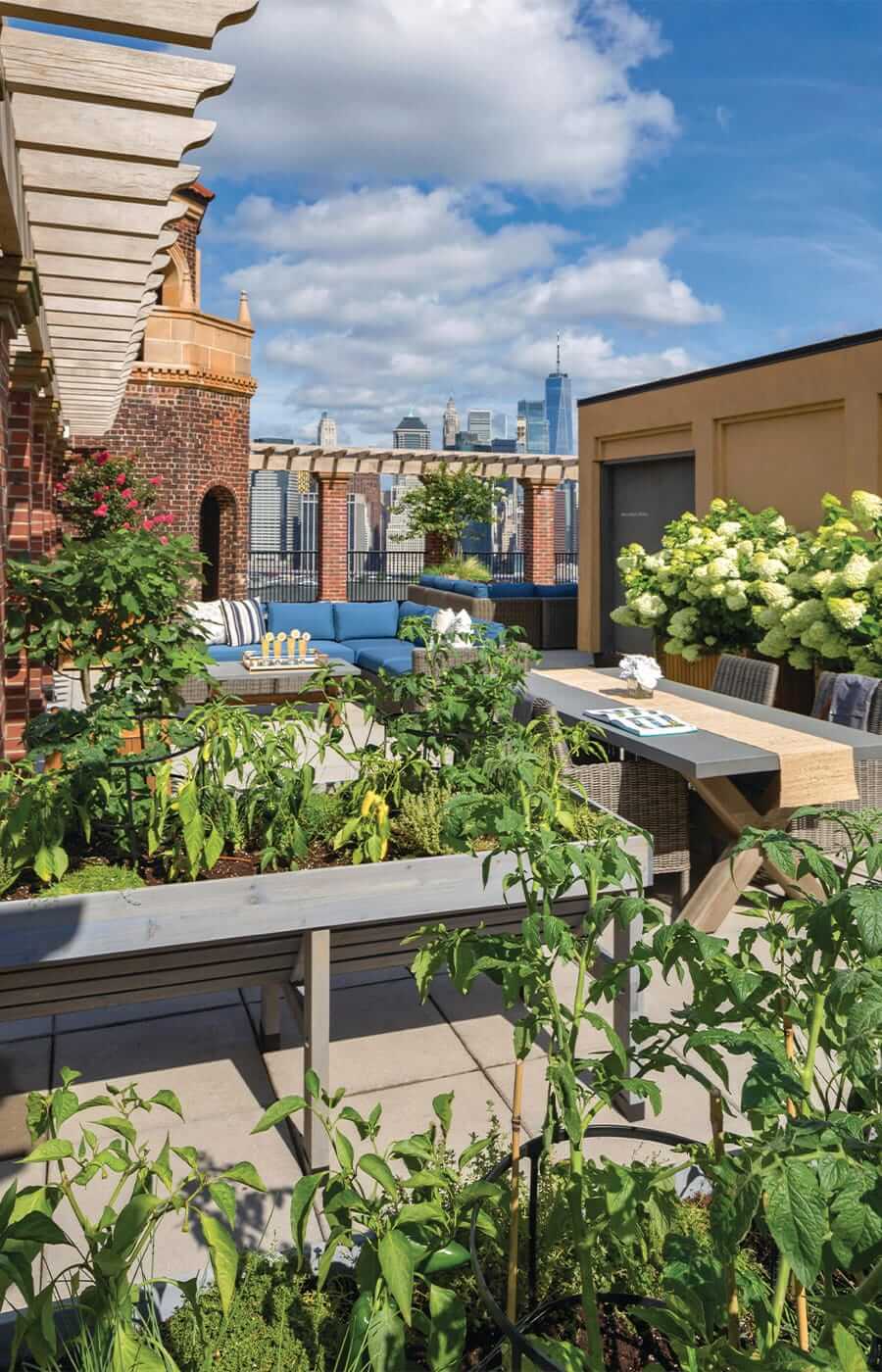 Roof top Roof top