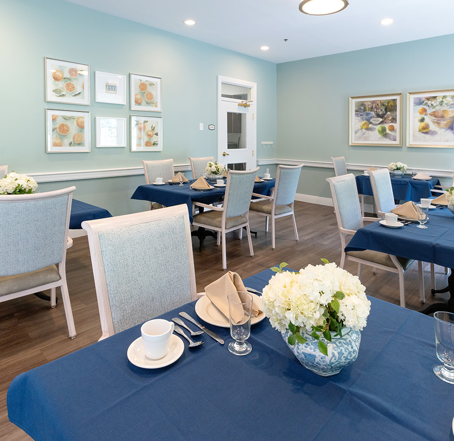 Turquoise Dining Room