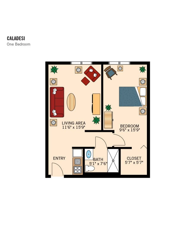 Assisted Living 1 bedroom, the fountains at boca ciega bay