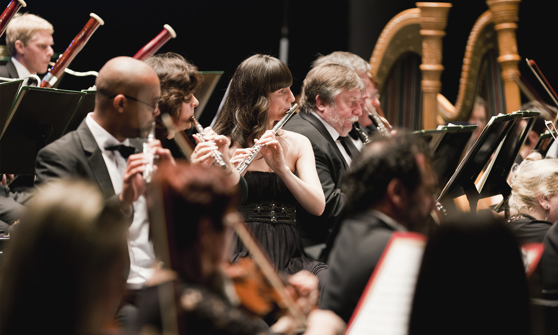 A symphony orchestra