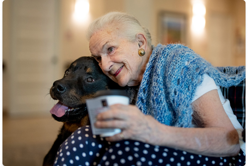 elderly woman hugging a black lab elderly woman hugging a black lab