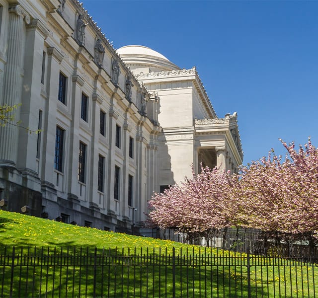 brooklyn museum brooklyn museum