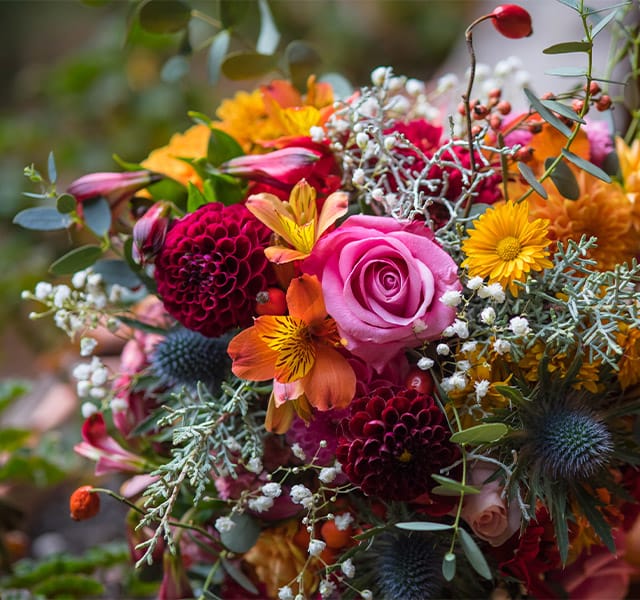 a colourful floral arrangement a colourful floral arrangement
