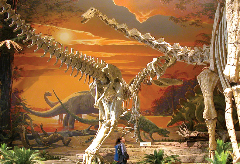 New Mexico Museum of Natural History