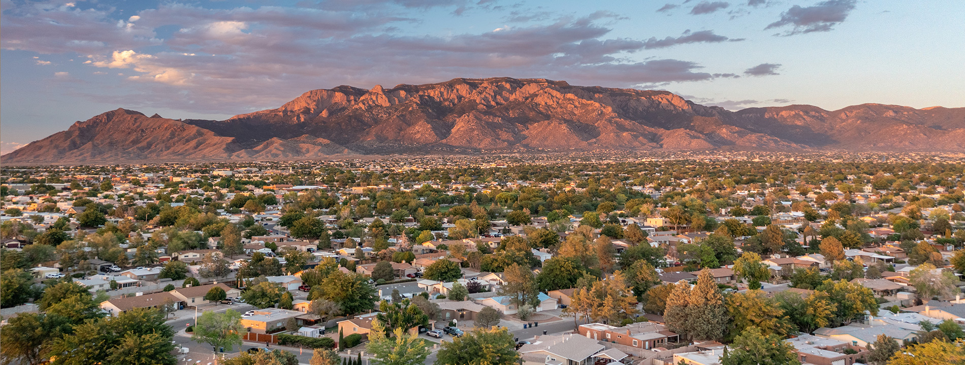 new mexico albuquerque