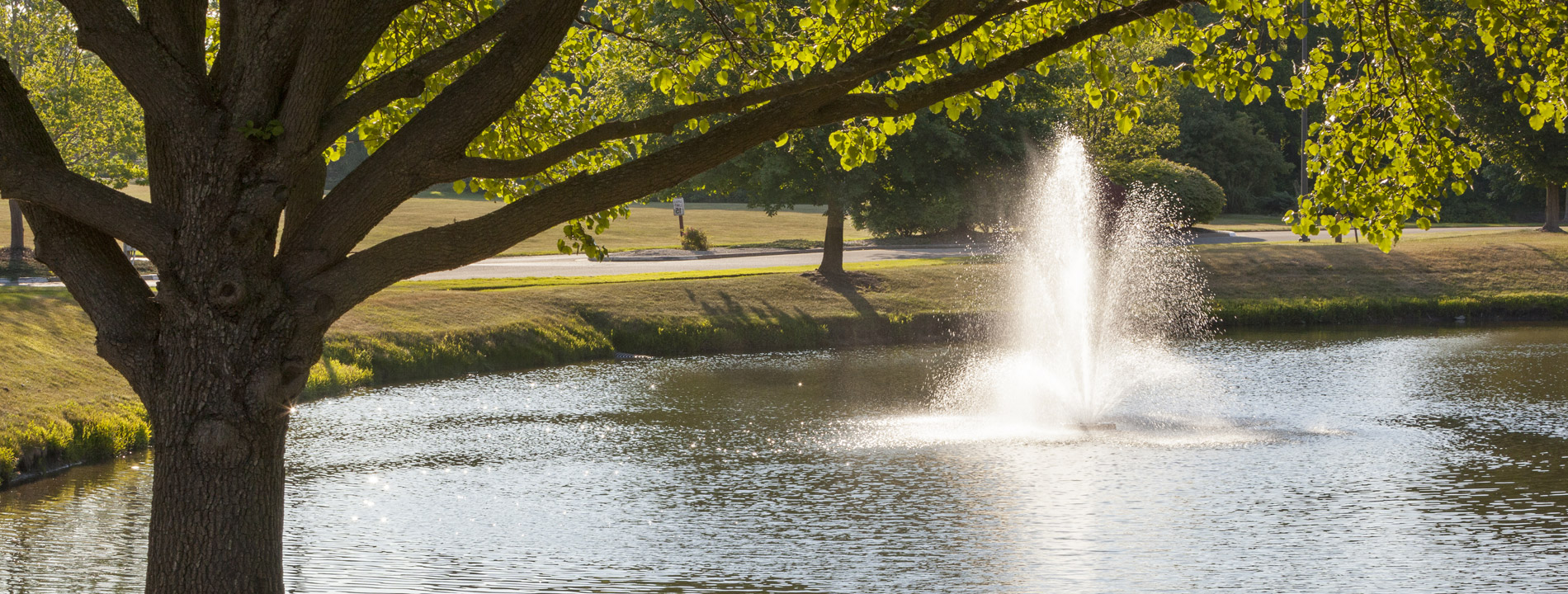Bright image of the pond and its fountain