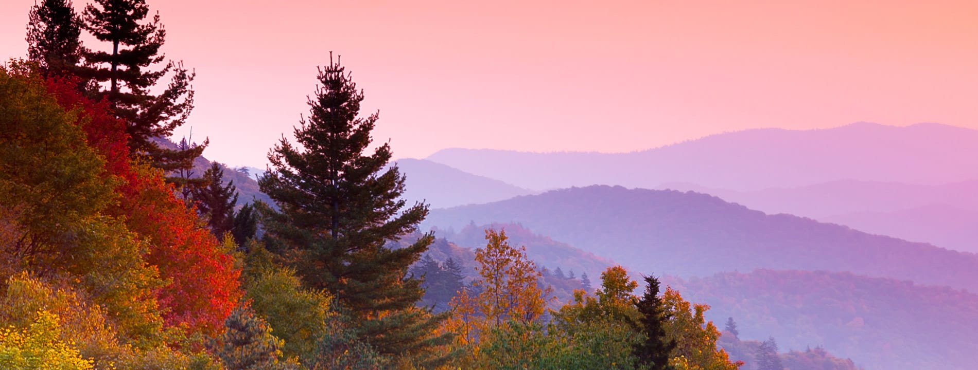 An autumn sunrise with a variety of trees in the foreground and misty mountains in the background