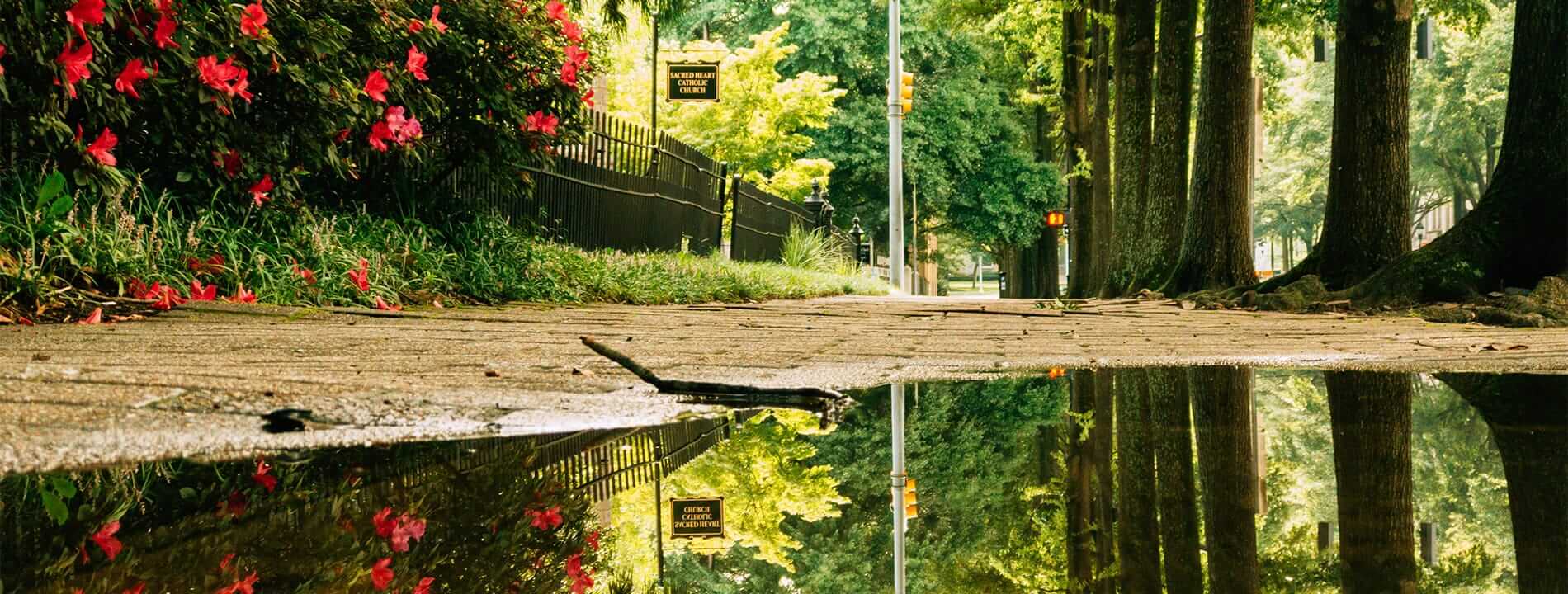 A puddle reflecting the cityscape in the background