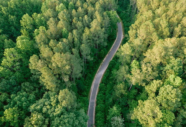 The Fountains at the Albemarle The Neighborhood - Historic Albemarle Trail An aerial shot of a road winding through a lush forest
