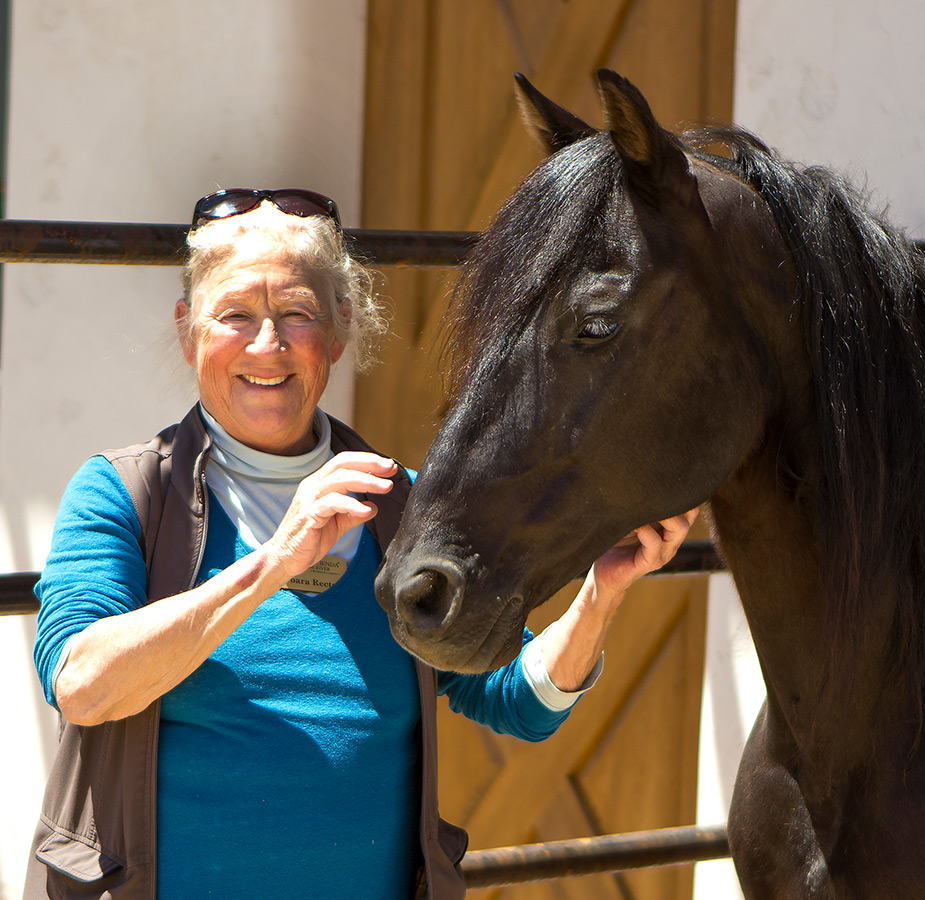 The Hacienda at the River A staff member with a black horse at the stables at The Hacienda at the River