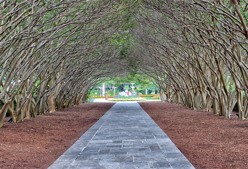 The Preston of the Park Cities Dallas Arboretum and Botanical Gardens The Dallas Arboretum and Botanical Garden is a 66-acre botanical garden located at 8525 Garland Road in East Dallas, Dallas, Texas, on the southeastern shore of White Rock Lake.