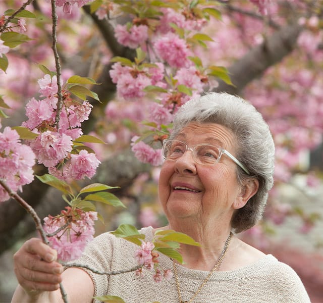 The Preston at the Park Cities Memory Care A woman stops to smells some vibrant flowers on a tree while walking past