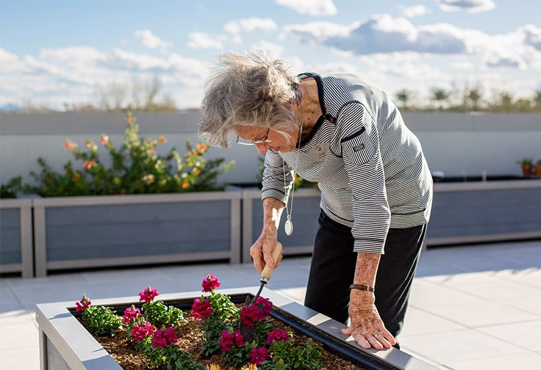 Planting Flowers