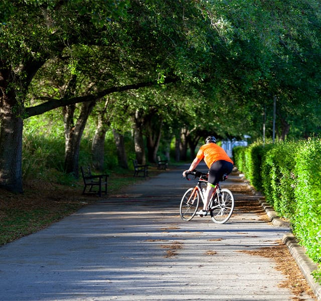 elderly gentleman riding his bike on an outdoor path elderly gentleman riding his bike on an outdoor path