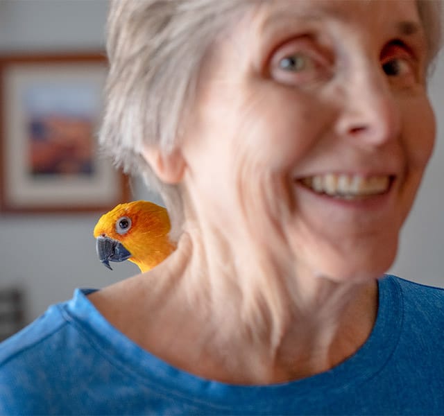An Old Woman with A Parrot behind her