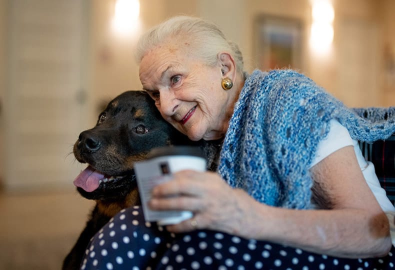 elderly woman hugging a black lab elderly woman hugging a black lab