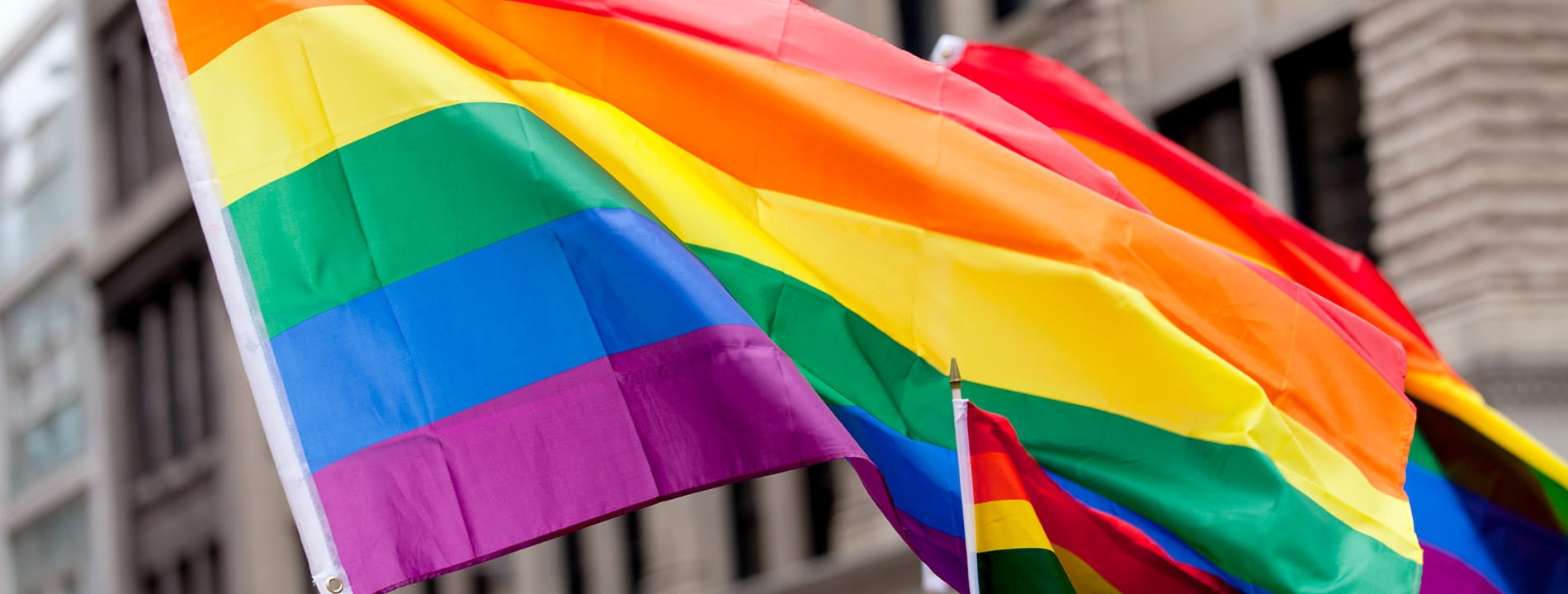 pride flag