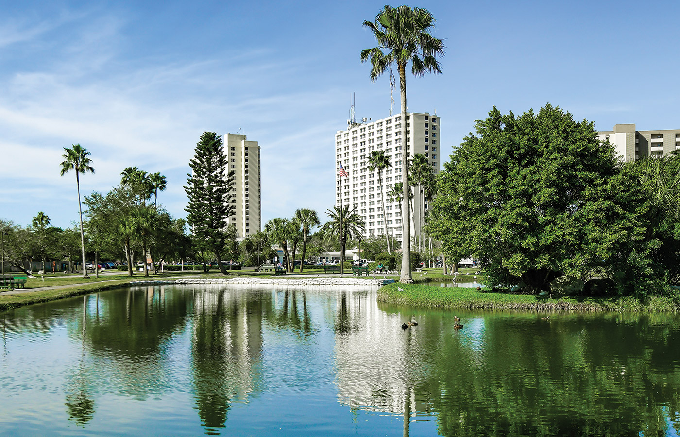 Pond View of the pond with palm tree and building in the background